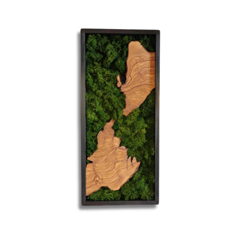 Olive Wood & Moss Wall Art – Biophilic Nature Design